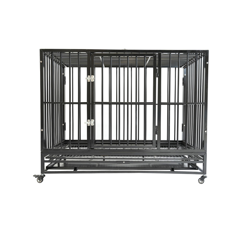 DH121-1 2 Doras Cage Madra Conaire Miotail Trom Dualgas