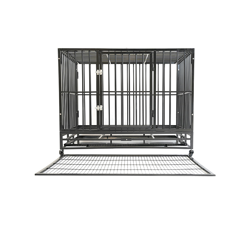 DH121-1 2 Doras Cage Madra Conaire Miotail Trom Dualgas