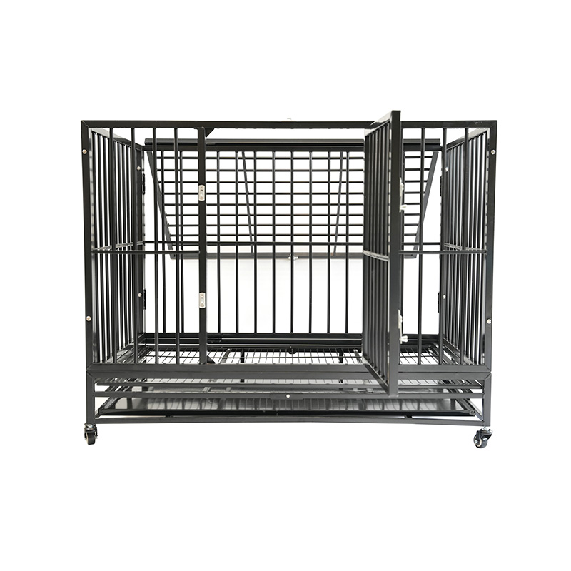 DH121-1 2 Doras Cage Madra Conaire Miotail Trom Dualgas