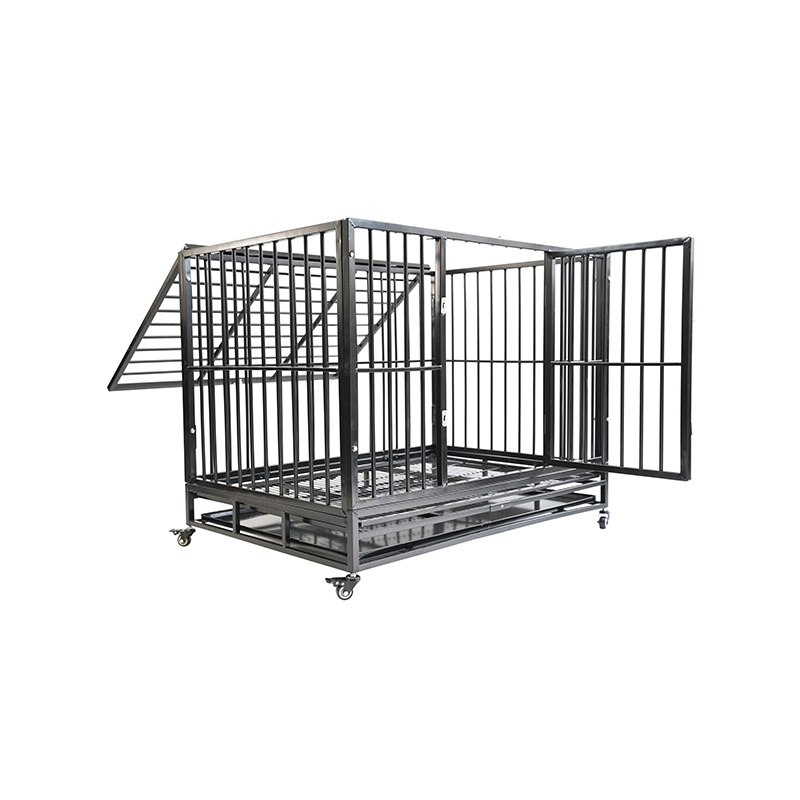 DH121-1 2 Doras Cage Madra Conaire Miotail Trom Dualgas