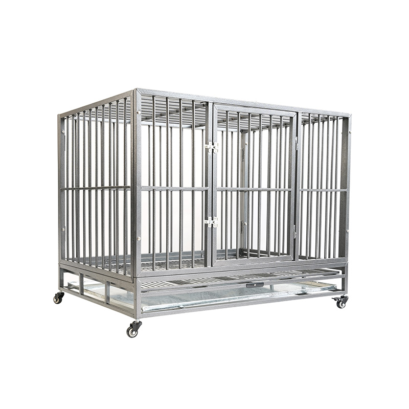 DH121-1 2 Doras Cage Madra Conaire Miotail Trom Dualgas