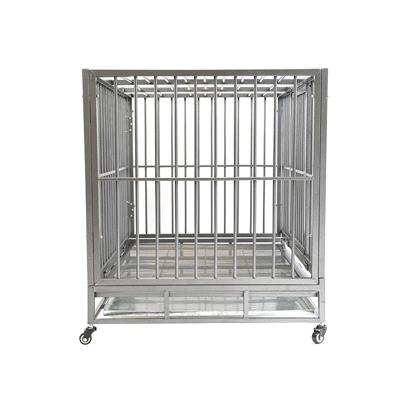 DH121-1 2 Doras Cage Madra Conaire Miotail Trom Dualgas