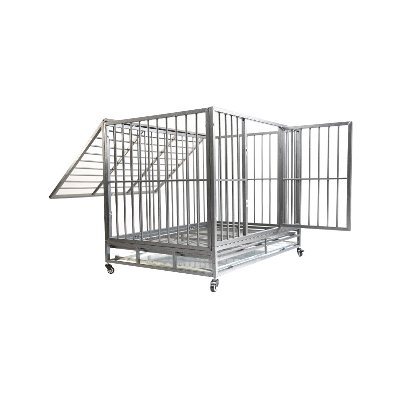 DH121-1 2 Doras Cage Madra Conaire Miotail Trom Dualgas